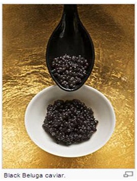 caviar Made in Korea